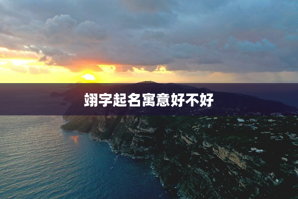 翊字起名寓意好不好