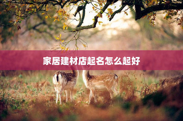 2家居建材店起名怎么起好