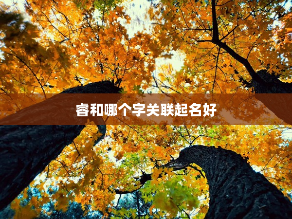 睿和哪個字關(guān)聯(lián)起名好