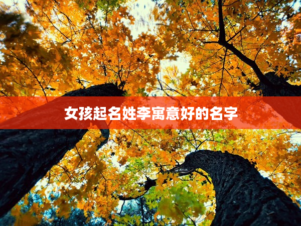 2女孩起名姓李寓意好的名字
