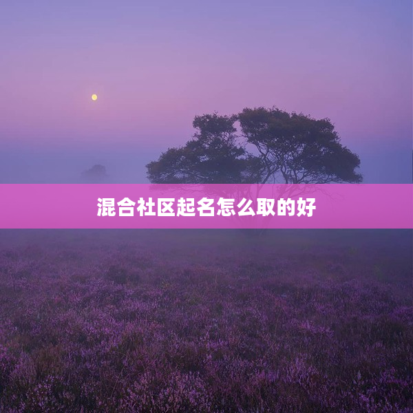 2混合社區(qū)起名怎么取的好