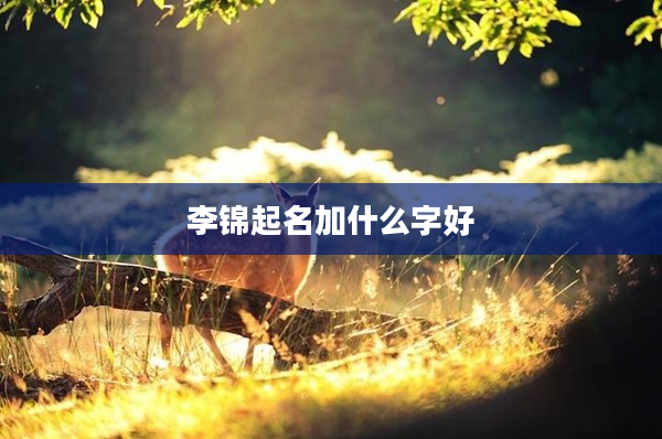 2李錦起名加什么字好