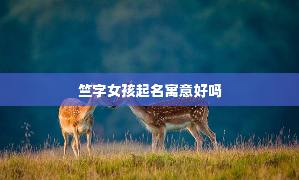 竺字女孩起名寓意好嗎