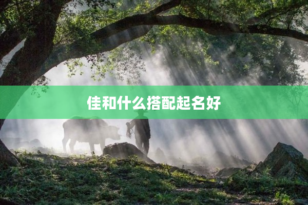 2佳和什么搭配起名好