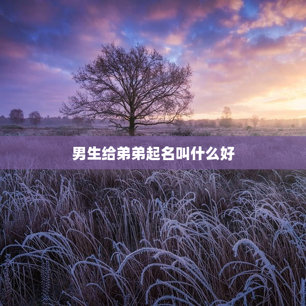 2男生給弟弟起名叫什么好