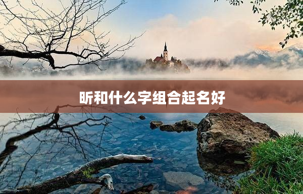 昕和什么字組合起名好