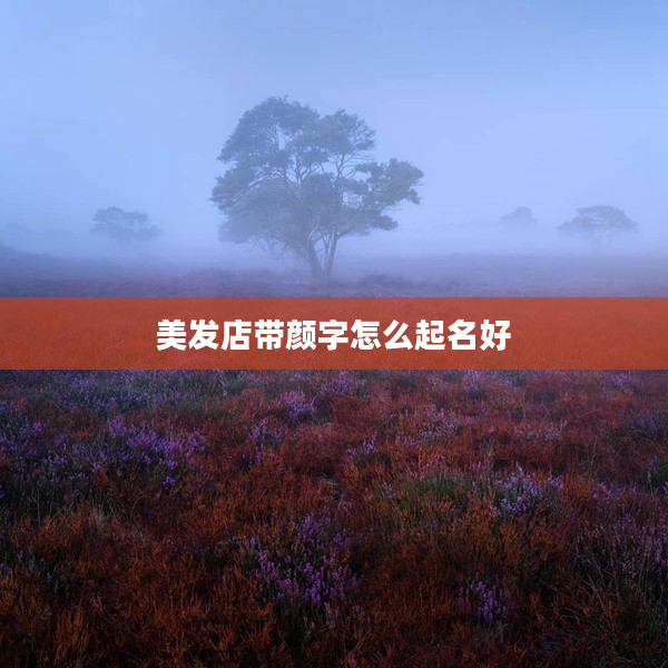 2美發店帶顏字怎么起名好