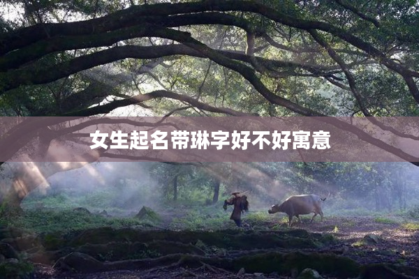 2女生起名帶琳字好不好寓意