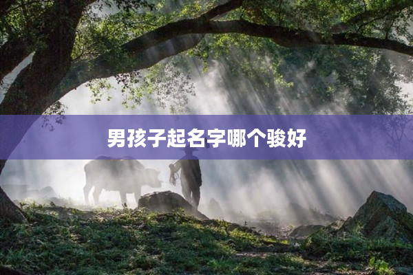 2男孩子起名字哪個駿好