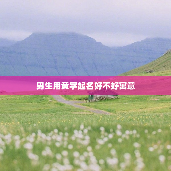 2男生用黃字起名好不好寓意