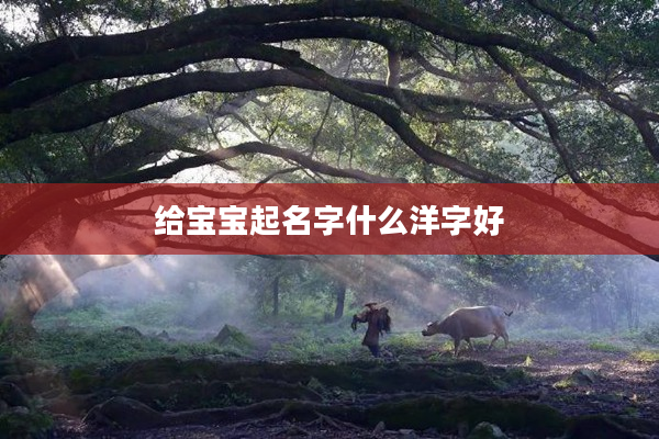 2給寶寶起名字什么洋字好