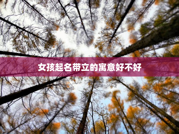 2女孩起名帶立的寓意好不好
