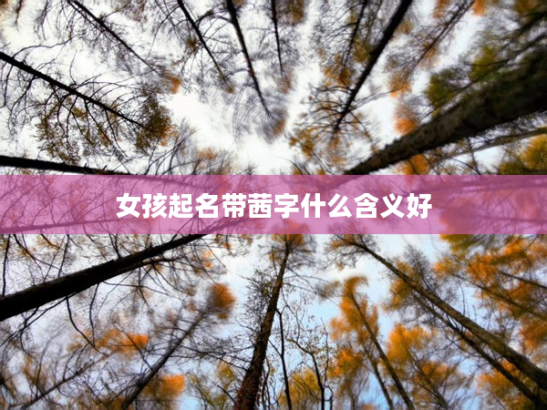 2女孩起名帶茜字什么含義好