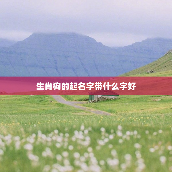 2生肖狗的起名字帶什么字好