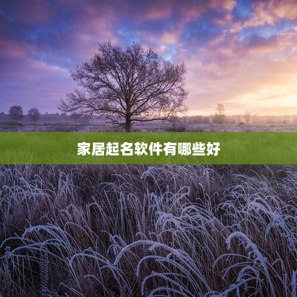 2家居起名軟件有哪些好