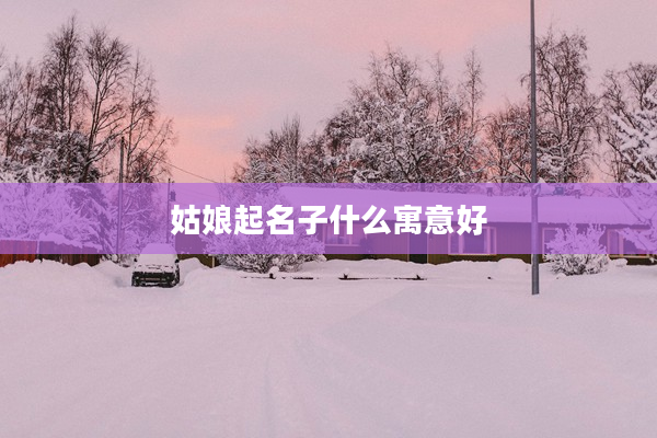 2姑娘起名子什么寓意好