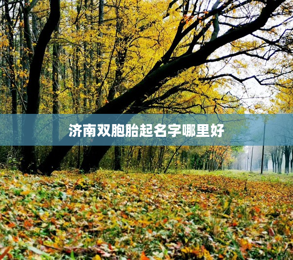 2濟南雙胞胎起名字哪里好