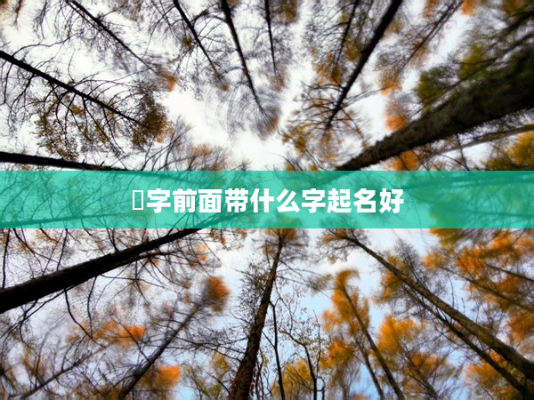 嬛字前面帶什么字起名好