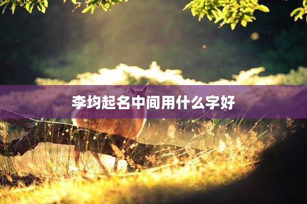 2李均起名中間用什么字好