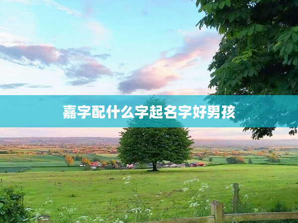 2嘉字配什么字起名字好男孩