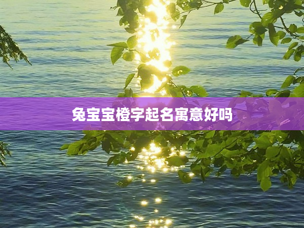 2兔寶寶橙字起名寓意好嗎