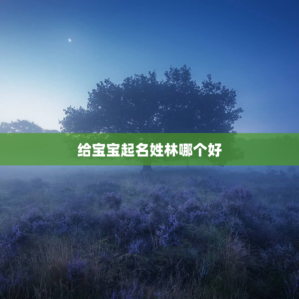 2給寶寶起名姓林哪個好