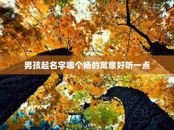 2男孩起名字哪個楊的寓意好聽一點