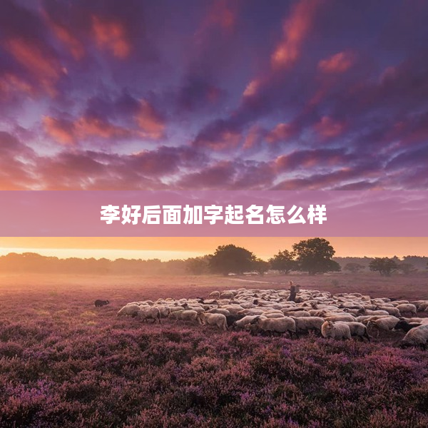 2李好后面加字起名怎么樣