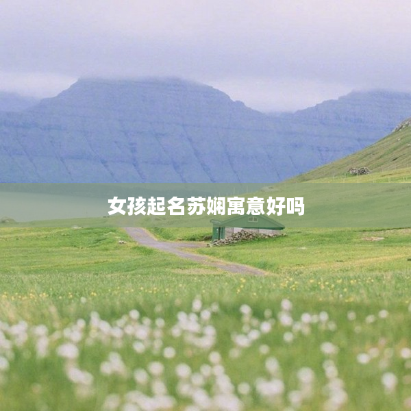 2女孩起名蘇嫻寓意好嗎