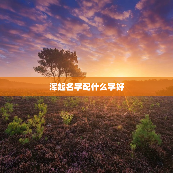 2渾起名字配什么字好
