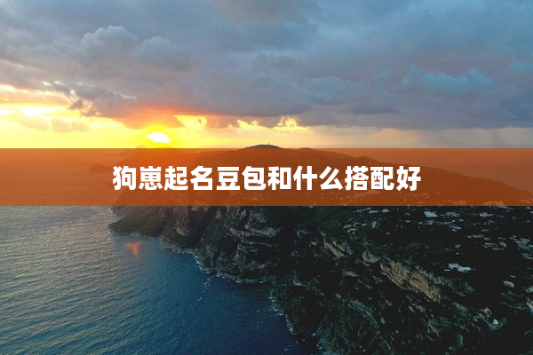 2狗崽起名豆包和什么搭配好