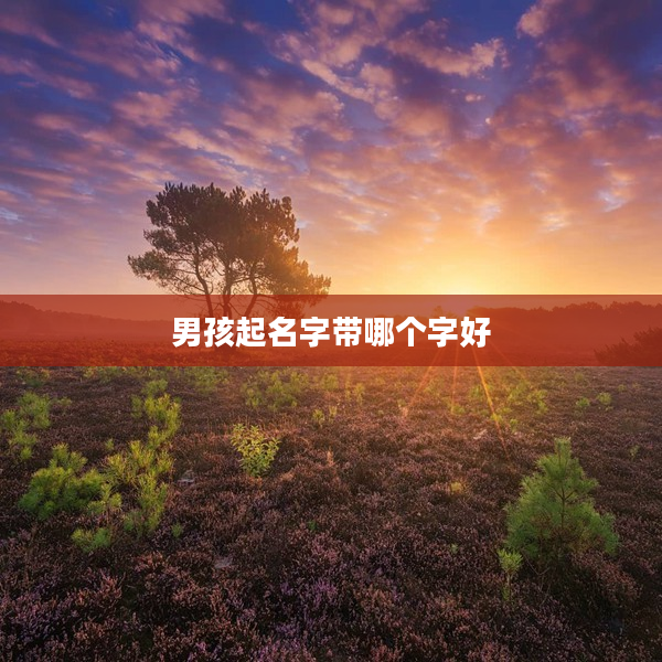 2男孩起名字帶哪個字好