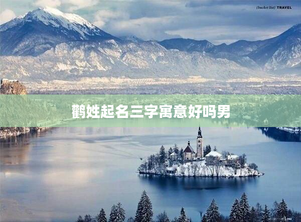 鸛姓起名三字寓意好嗎男