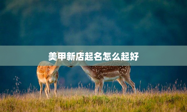 2美甲新店起名怎么起好