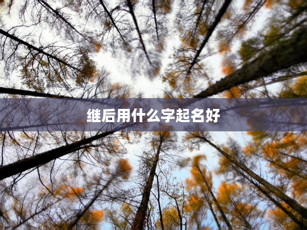 2繼后用什么字起名好