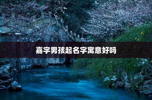 2嘉字男孩起名字寓意好嗎