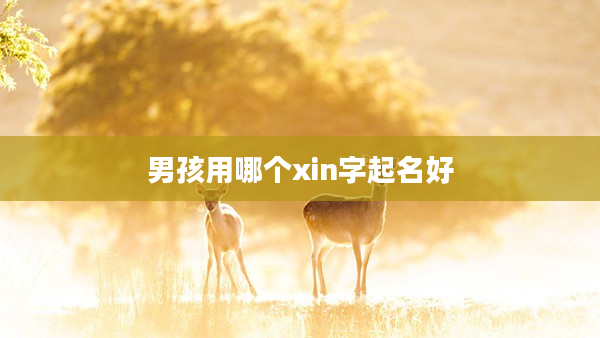 2男孩用哪個xin字起名好
