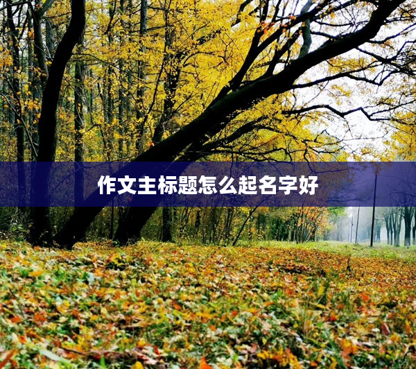 2作文主標題怎么起名字好
