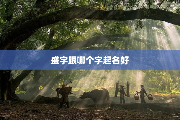 2盛字跟哪個(gè)字起名好