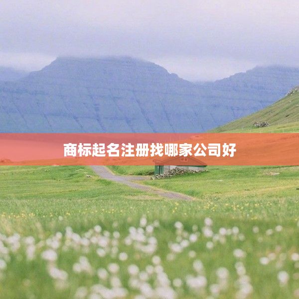 2商標(biāo)起名注冊(cè)找哪家公司好