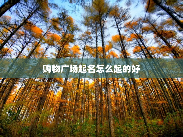 2購物廣場起名怎么起的好