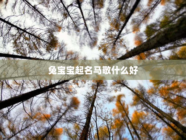 2兔寶寶起名馬敬什么好