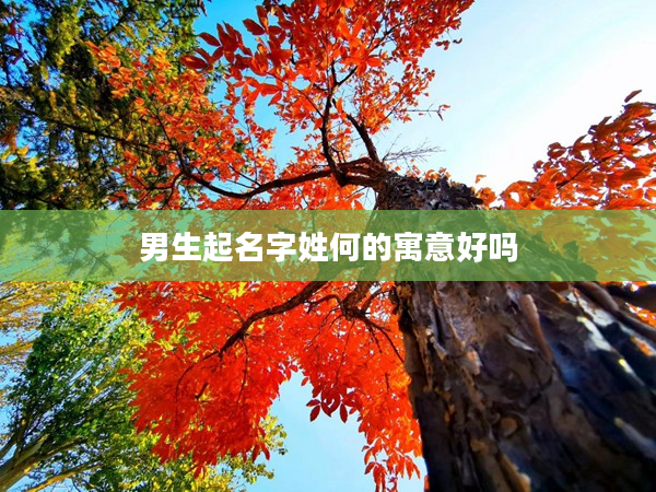 2男生起名字姓何的寓意好嗎