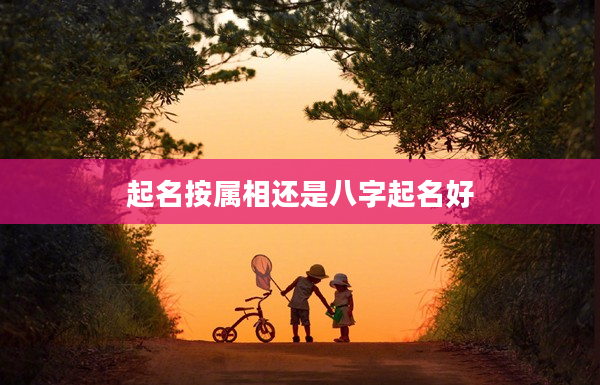 2起名按屬相還是八字起名好