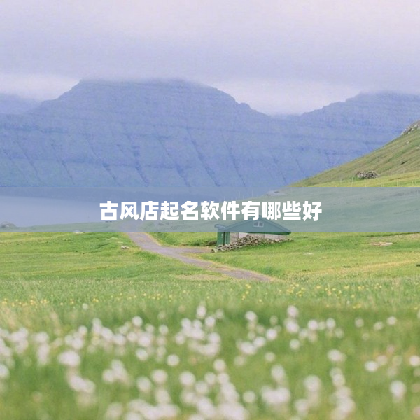2古風店起名軟件有哪些好