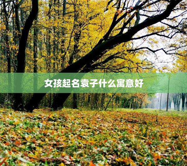 2女孩起名袁子什么寓意好