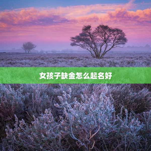 2女孩子缺金怎么起名好