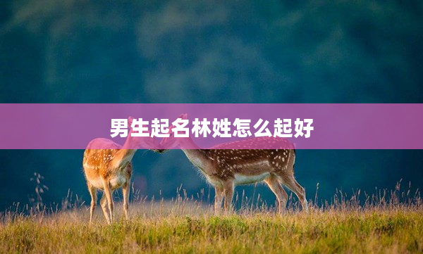 2男生起名林姓怎么起好