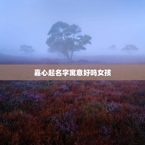 2嘉心起名字寓意好嗎女孩