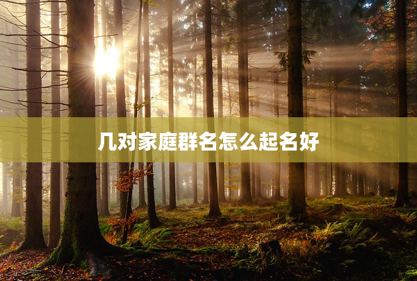 2幾對家庭群名怎么起名好